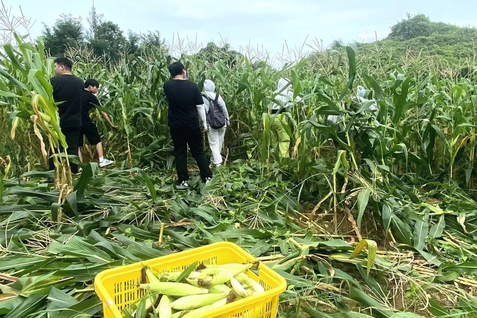 无码人妻AV一二区二区三区